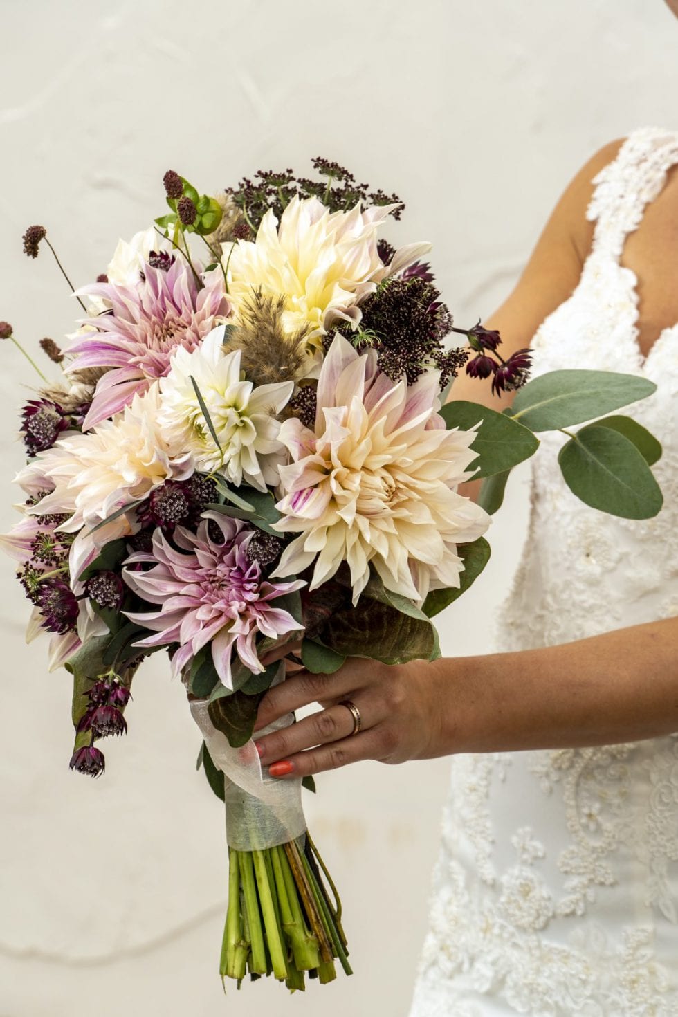 Holland Dahlia Event 2021 programma Holland Dahlia Event