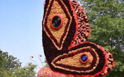 110 dahlia-mozaïeken tentoongesteld
