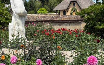 Holland Dahlia Event viert jubileumjaar