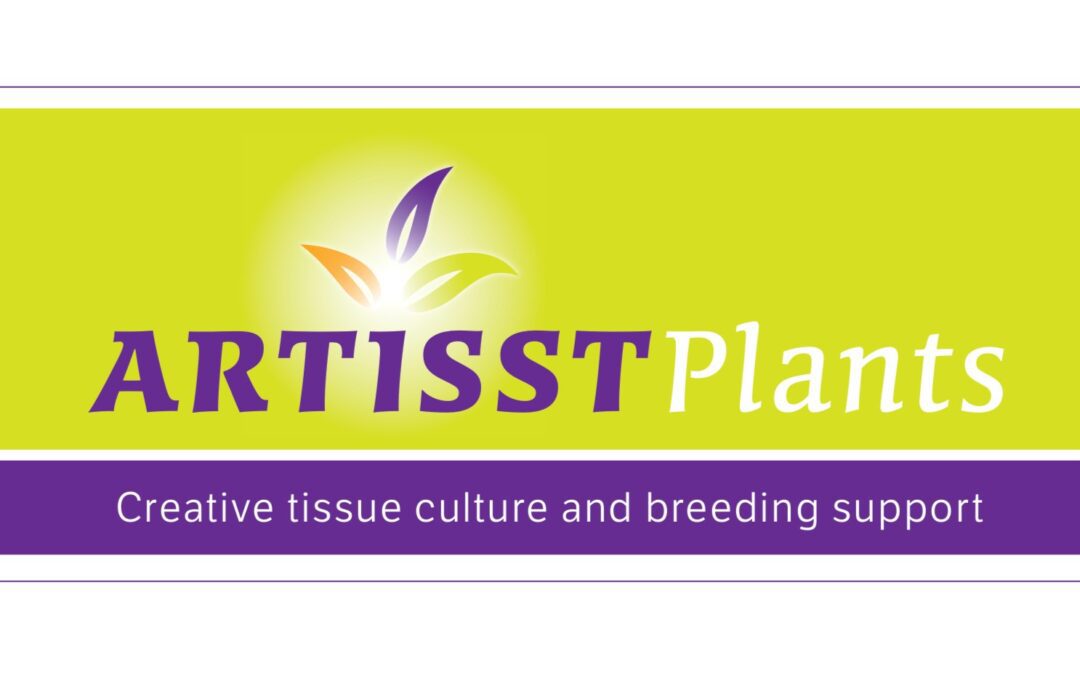 Artisstplants